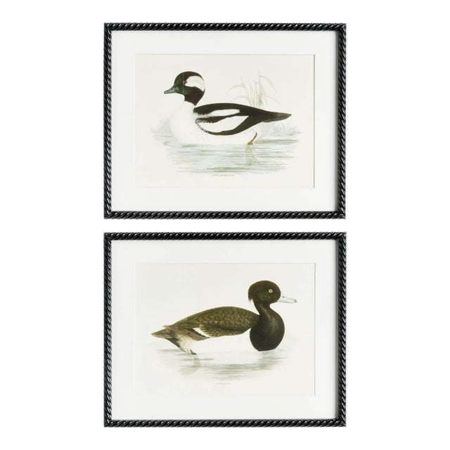 Wading Duck Prints, Set Of 2 For Sale