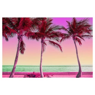 Artur Debat, Dreamlike Picture of Colourful View of the Palm Trees in Miami, Photograph For Sale