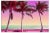 Artur Debat, Dreamlike Picture of Colourful View of the Palm Trees in Miami, Photograph For Sale