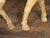 Vintage Midcentury Sculpture of a Walking Stag with Antlers and Natural Patina For Sale - Image 4 of 12