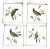 Gold Framed Bird Tile Trivets- Set of Four For Sale