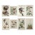 Vintage 1966 John James Audubon Double-Sided Reproduction Prints — Eagle, Falcon, Dove, Swift, Finch, Warbler, Thrush and Grackle - Collection of 4 For Sale