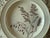 Mid 20th Century Small J&g Meakin Plates From Staffordshire - Set of 10 For Sale - Image 4 of 10