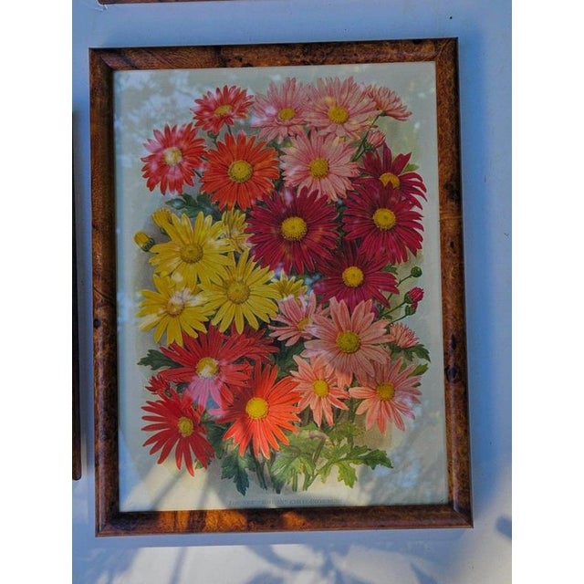 A charming set of six British botanical prints dating to circa 1930, presenting a wonderfully vibrant collection of floral...
