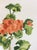 Transitional 1950s Cake Plate in the Getanium Pattern by Salem For Sale - Image 3 of 7