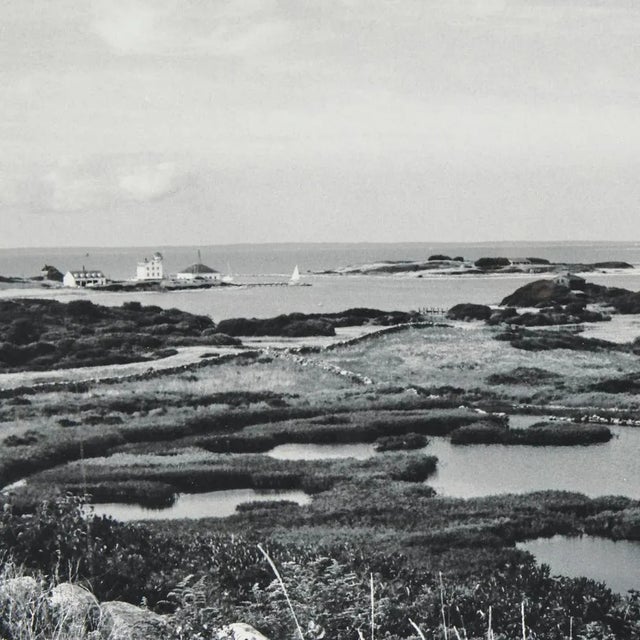 Klaus Gemming, Cormorant Cove Photograph, Framed For Sale - Image 4 of 6