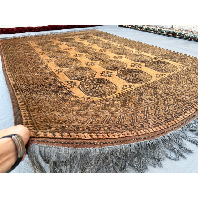 This refined Turkmen Bokhara rug features a grid of large octagonal "elephant's foot" guls in deep chocolate brown, set...