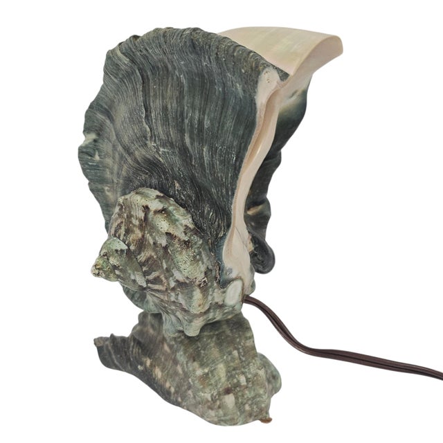 1970s Tahitian Turbo Marmoratus Mother-of-Pearl Shell Mood Lamp For Sale - Image 10 of 16