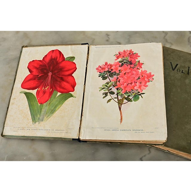 English Early 20th Century Amateur Gardening Books - Set of 2 For Sale In Baton Rouge - Image 6 of 9