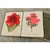 English Early 20th Century Amateur Gardening Books - Set of 2 For Sale In Baton Rouge - Image 6 of 9