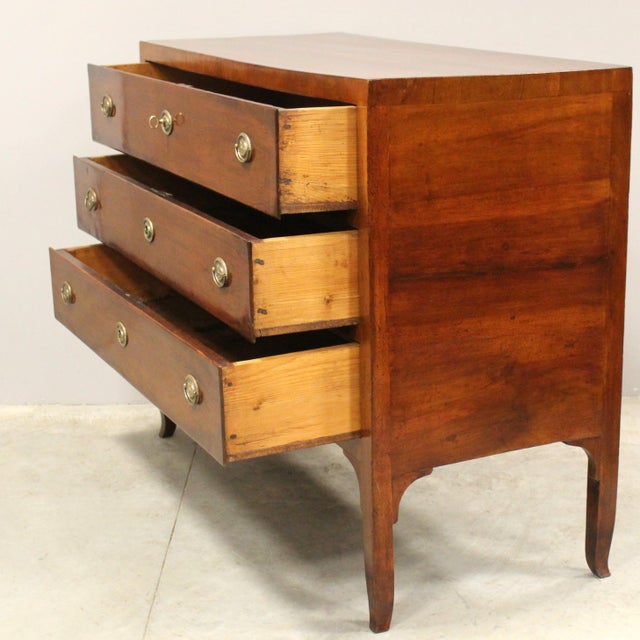 18th Century Italian Directory Chest of Drawers in Walnut For Sale - Image 5 of 13