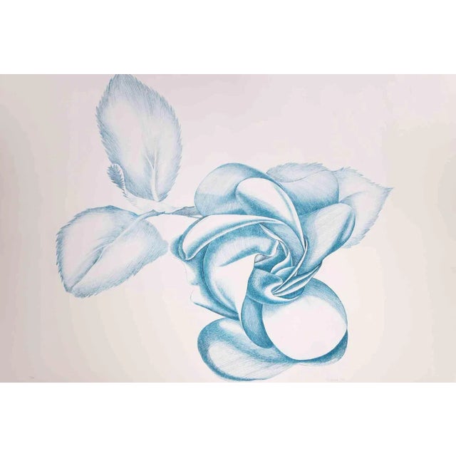 Blue Rose is an original contemporary artwork realized by Giacomo Porzano in 1970s. Colored etching Hand-signed on the...