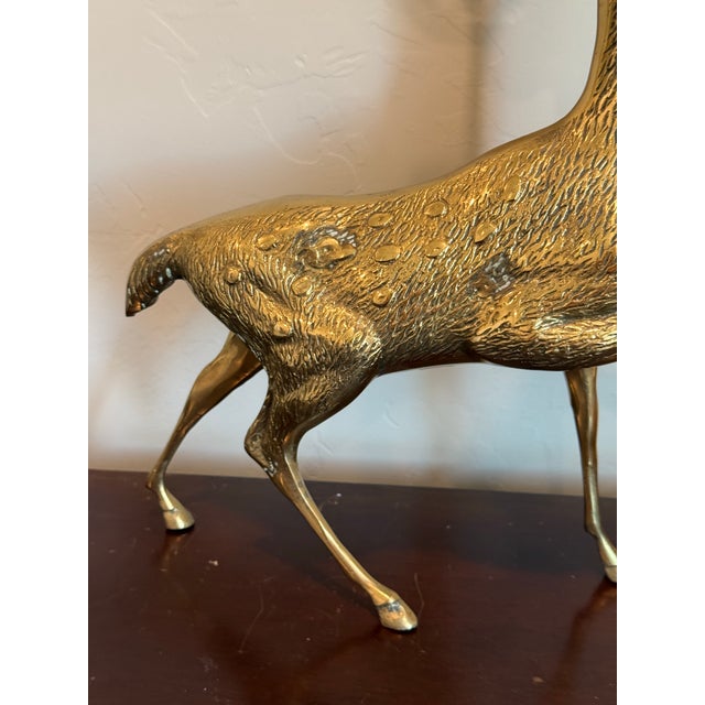 Vintage Solid Brass a Pair of Large Spotted Solid Brass Deer Statues, a Buck and a Doe Decor For Sale In Phoenix - Image 6 of 11