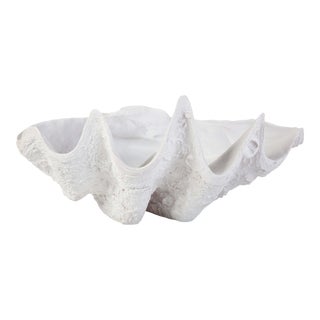 Regina Andrew Bimini Clam For Sale