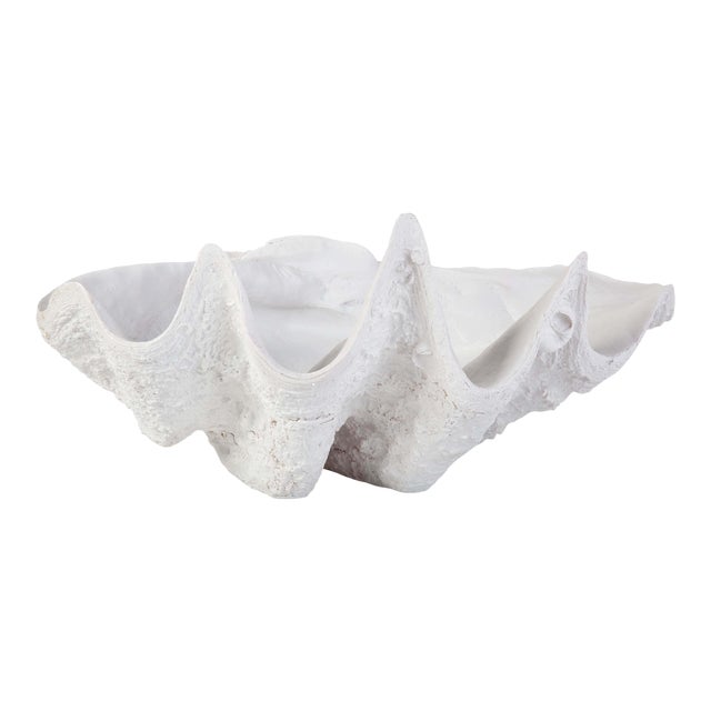 Regina Andrew Bimini Clam For Sale