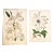 Rare Pair-C1860 Antique French Botanical Chromolithographs, Matted For Sale