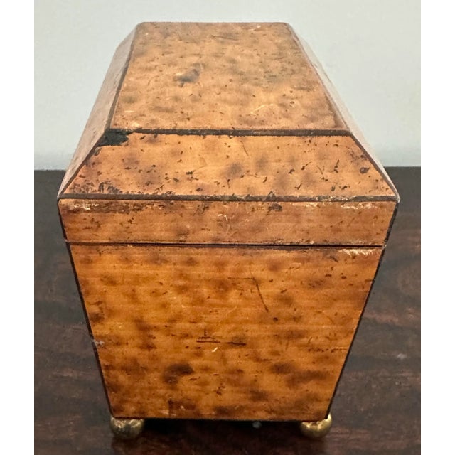 Brown 19th Century English Regency Tea Caddy With Faux Tortoise Shell Interior Compartment Top For Sale - Image 8 of 11