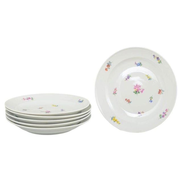 Early 20th Century Dinner Plates in Porcelain with Floral Motifs from Meissen, Set of 6 For Sale - Image 6 of 6