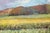Purple Clouds Above the Farm - Landscape in Oil on Masonite Serene landscape by an unknown artist (20th Century). A...