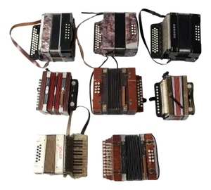 Vintage Accordion Collection - Set of 8