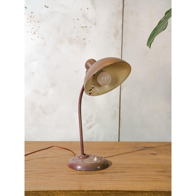 Bauhaus Brown 6556 Table Lamp from Kaiser Idell / Kaiser Leuchten, 1940s For Sale - Image 14 of 14