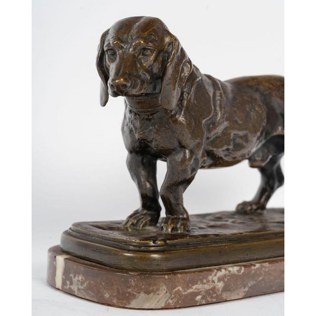 Sculpture of Basset Hound in Patinated Bronze by Antoine-Louis Barye For Sale - Image 5 of 10