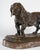 Sculpture of Basset Hound in Patinated Bronze by Antoine-Louis Barye For Sale - Image 5 of 10
