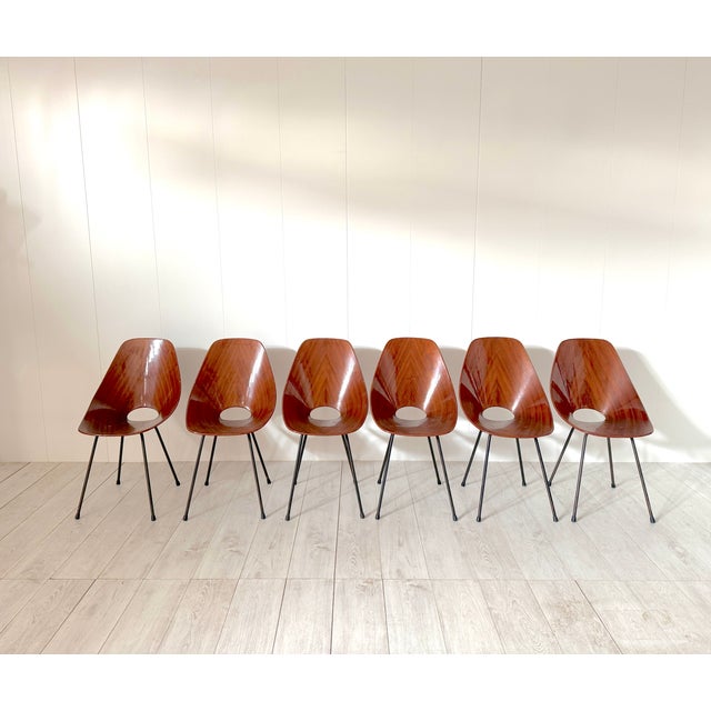 Vintage Medea Chairs by Vittorio Nobili for Fratelli Tagliabue, 1950s, Set of 6 For Sale - Image 15 of 15