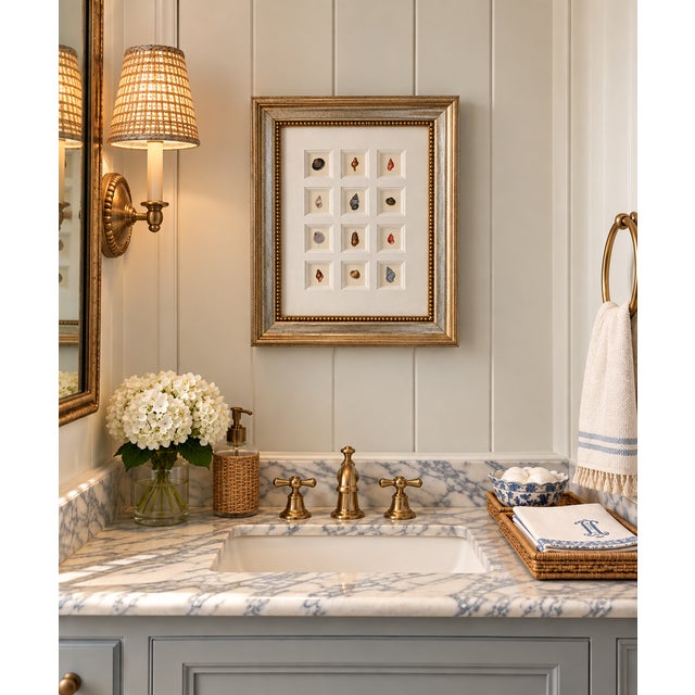 A beautifully curated collection of twelve delicate original seashell engravings, individually displayed in a...