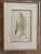 Vintage Henry Bradbury Fern Print, Framed For Sale - Image 11 of 11