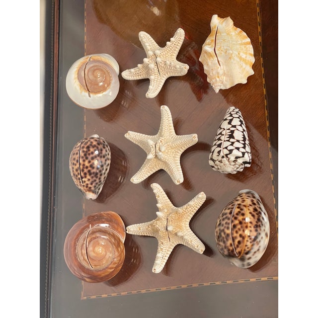 9 PCS Vintage Coastal Sea Shell Place Cards Holders for Weddings, Parties For Sale In Miami - Image 6 of 6