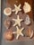 9 PCS Vintage Coastal Sea Shell Place Cards Holders for Weddings, Parties For Sale In Miami - Image 6 of 6