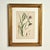 1920s Antique Group of Nine Hand Colored Botanical Prints For Sale - Image 5 of 18