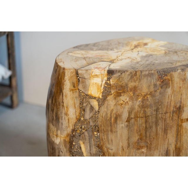 Wood Petrified Wood Side Table, 1970s For Sale - Image 7 of 9