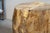 Wood Petrified Wood Side Table, 1970s For Sale - Image 7 of 9