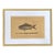 Mark Catesby Engraving, "The Lane-Snapper and the Tobaccopipe Fish" For Sale