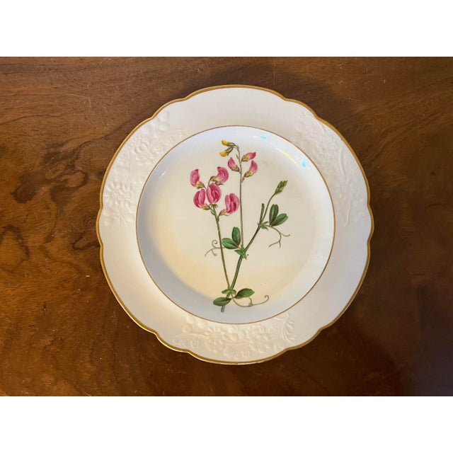 Ceramic Antique Early 19th Century Spode Porcelain Botanical Plate Decorated With Hand Painted Named Specimen - Pease Earth-Nut For Sale - Image 7 of 10