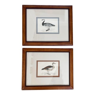 Francis Morris 1867 Hand Colored Geese Engravings. Framed. Set of 2 For Sale