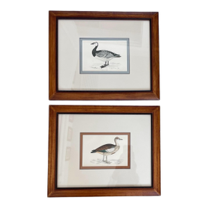Francis Morris 1867 Hand Colored Geese Engravings. Framed. Set of 2