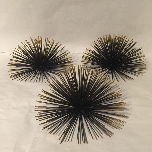 10" Sea Urchins Wall Decor Set of 3 Chairish