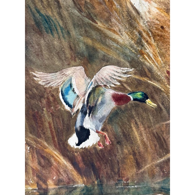 Realism Original 1953 Arthur D. Fuller Watercolor – "Mallards in the Reeds" (Salmagundi Club) For Sale - Image 3 of 12