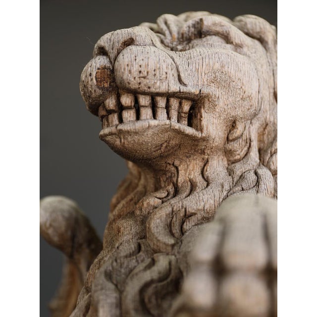 Brown 19th Century Neo-Renaissance French Heraldic Lion Sculptures, 1870s, Set of 2 For Sale - Image 8 of 18