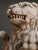 Brown 19th Century Neo-Renaissance French Heraldic Lion Sculptures, 1870s, Set of 2 For Sale - Image 8 of 18
