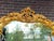 1970s Italian Rococo Gold Beech Wall Mirror For Sale - Image 4 of 12