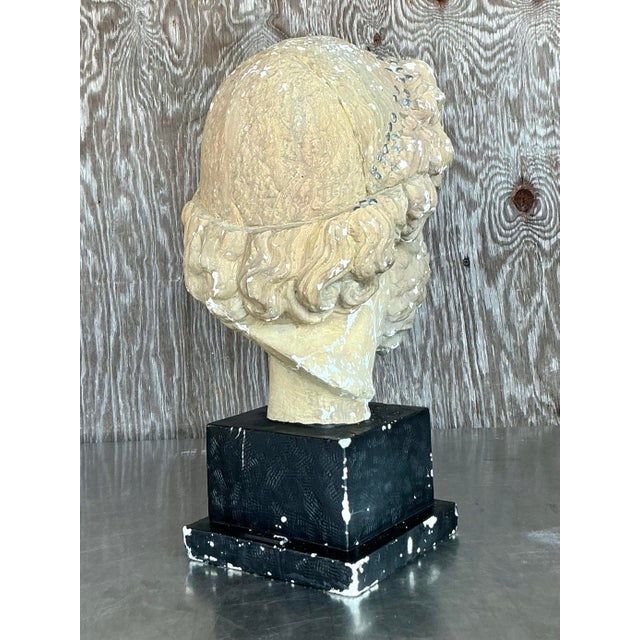 Mid 20th Century Vintage Grand Tour Plaster Bust of Man For Sale - Image 9 of 12