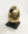 Gold Fanna Roncoroni, Forma Ovale, 1978, Bronze For Sale - Image 8 of 13
