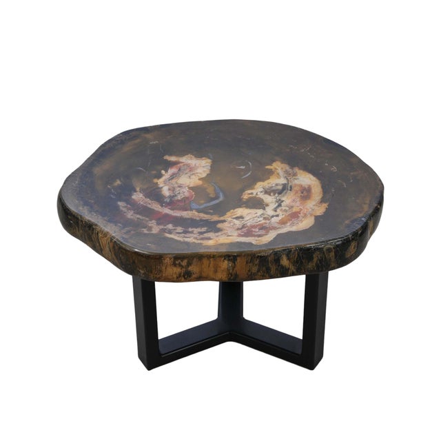 Not Yet Made - Made To Order Petrified Wood Coffee Table by Xyleia Petrified Wood For Sale - Image 5 of 5