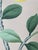 Not Yet Made - Made To Order 36"* H100"/Panel, Chinoiserie Light Pink Lemon Garden & Butterflies Wallpaper Panels, Scenic Wallpaper Panels For Sale - Image 5 of 5