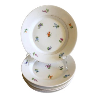 Continental Spring Floral Plates, Set of 5 For Sale