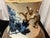 Early 19th Century Antique 1800s Chinese Blue & White Vases W/Crackle Glaze - A Pair For Sale - Image 5 of 12